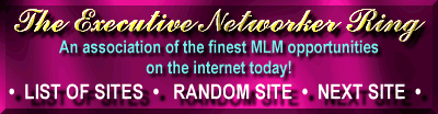 The Executive Networker Ring Title